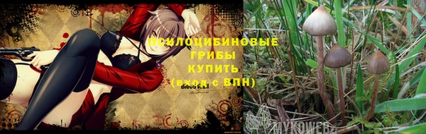 герыч Алексеевка