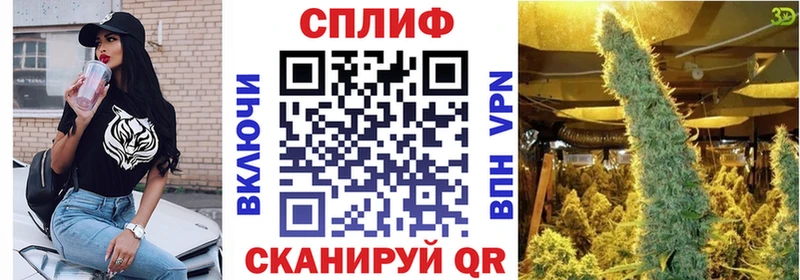 Шишки марихуана сатива  Безенчук 